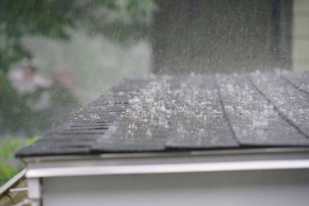 Best Roof Maintenance and Cleaning  in The Village, OK